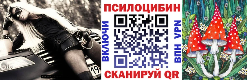 Купить  Чудово  Псилоцибиновые грибы Magic Shrooms 